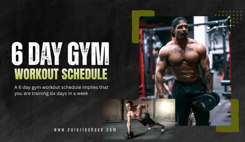  6 Day Gym Workout Schedule for Muscle Gain and Strength