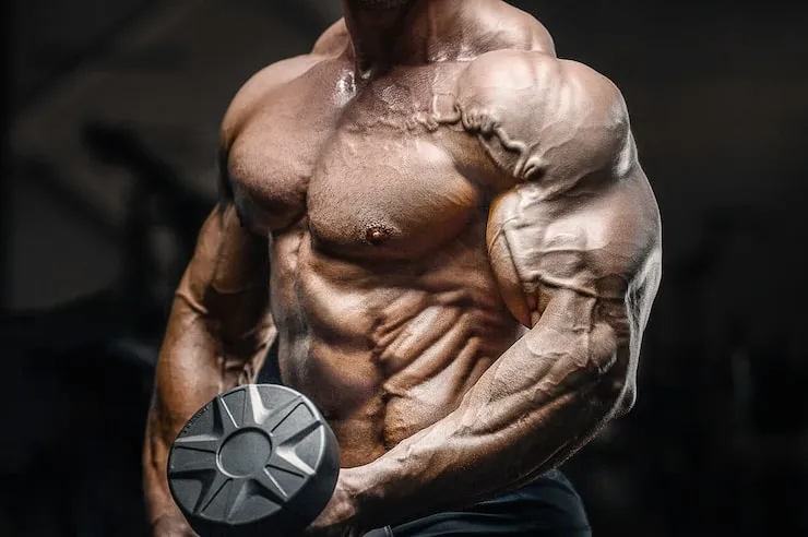 Training Frequency for Muscle Building