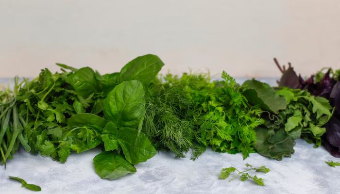 Fresh herbs